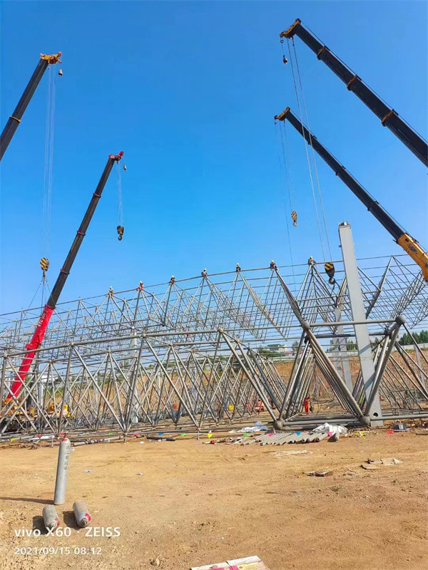 球形網(wǎng)架結(jié)構(gòu)廠家